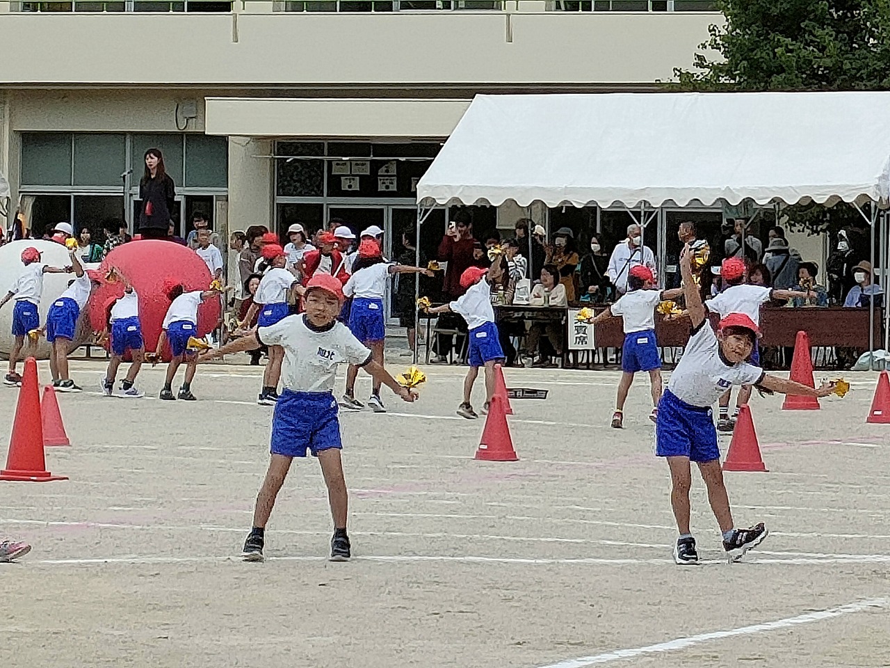 次男坊踊る。架設足場を建てる。古民家再生、リフォーム、リノベーションなら、愛知県知多市のカワイ建築工房へ