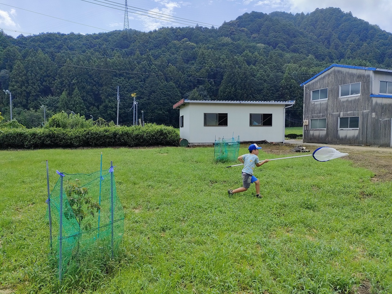 虫取りをする次男。　古民家再生　知多市のリノベーション　リフォームのカワイ建築工房