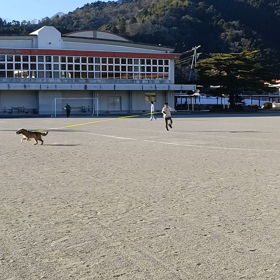 雑種　保護犬　走り回る　長男　小学校校庭　三重県　カワイ建築工房