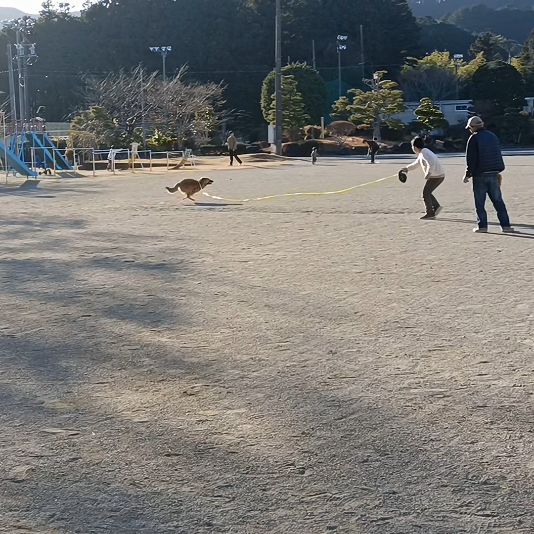 雑種　保護犬　走り回る　長男　小学校校庭　三重県　カワイ建築工房