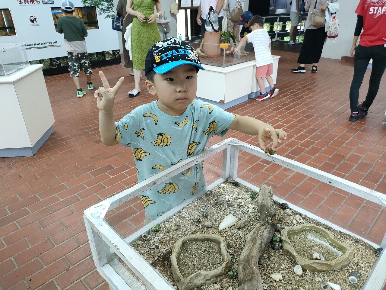 沖縄ワールド　爬虫類館　ヘビ　ふれあいコーナー　旅行　カワイ建築工房