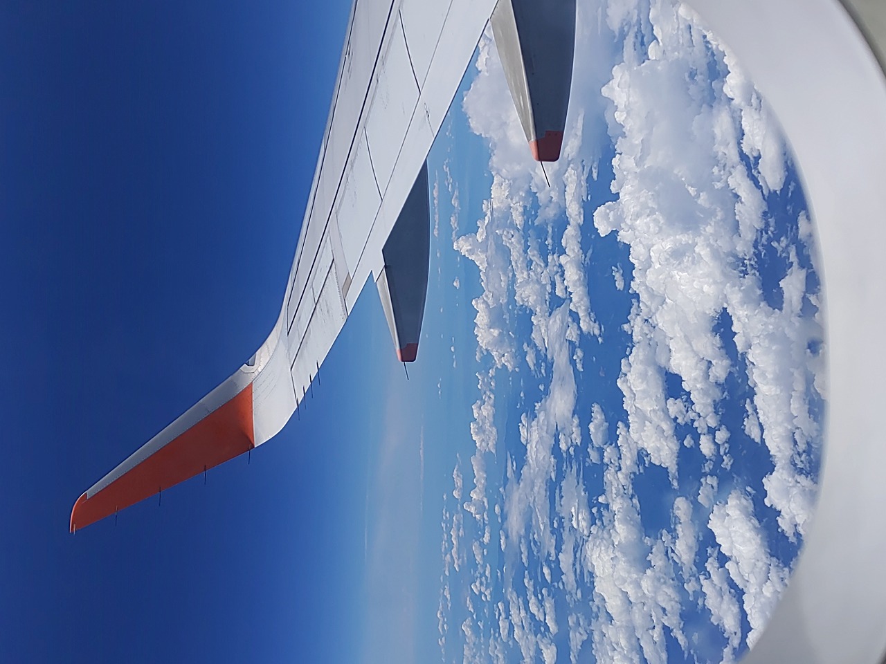 沖縄旅行　最終日　沖縄空港　飛行機　カワイ建築工房