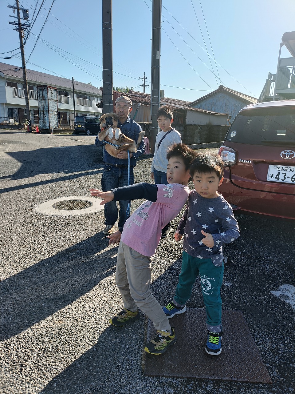 雑種　保護犬　お散歩デビュー　知多市　カワイ建築工房